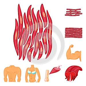 Isolated object of muscle and cells logo. Set of muscle and anatomy stock symbol for web.