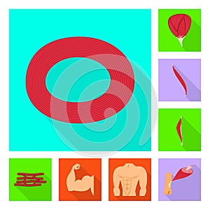 Isolated object of muscle and cells symbol. Set of muscle and anatomy stock vector illustration.