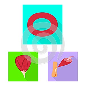 Isolated object of muscle and cells symbol. Set of muscle and anatomy vector icon for stock.