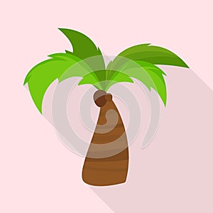 Isolated object of palm and trunk logo. Set of palm and scenics stock vector illustration.