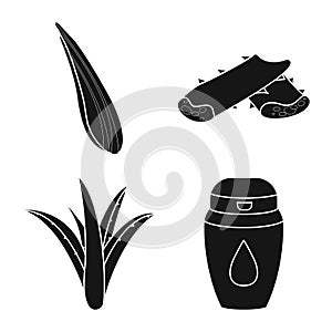 Isolated object of product and botany symbol. Set of product and medicine stock vector illustration.