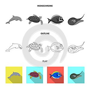 Isolated object of sea and animal sign. Set of sea and marine vector icon for stock.