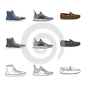 Vector illustration of shoe and footwear sign. Set of shoe and foot stock vector illustration. photo