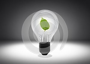 Isolated object shot of a light bulb with a green leaf inside on a dark background