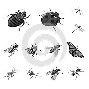 Isolated object of small and animal logo. Collection of small and wildlife stock vector illustration.