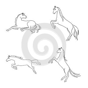 Isolated object of stallion and galloping symbol. Collection of stallion and riding stock vector illustration.