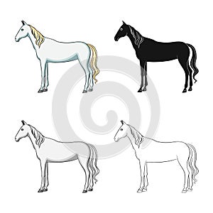 Isolated object of steed and white symbol. Collection of steed and hoofed vector icon for stock.