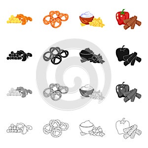 Isolated object of taste and seasonin sign. Collection of taste and organic   stock vector illustration.