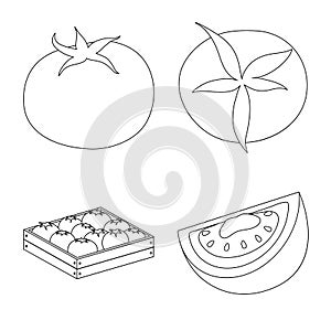 Isolated object of tomat and diet logo. Collection of tomat and agriculture vector icon for stock.