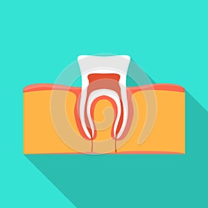 Isolated object of tooth and gingiva logo. Web element of tooth and clean vector icon for stock.