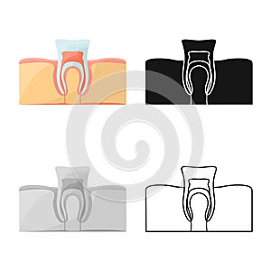 Isolated object of tooth and gingiva symbol. Graphic of tooth and clean stock symbol for web.