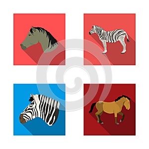 Isolated object of trot and running icon. Collection of trot and clipart stock vector illustration.