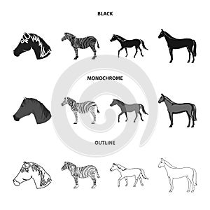 Isolated object of trot and running icon. Collection of trot and clipart stock vector illustration.