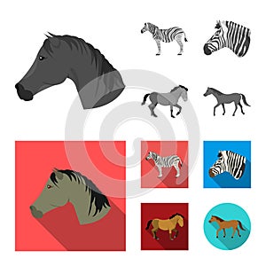 Isolated object of trot and running icon. Collection of trot and clipart vector icon for stock.