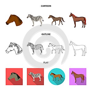 Isolated object of trot and running icon. Set of trot and clipart stock symbol for web.