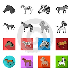 Isolated object of trot and running icon. Set of trot and clipart vector icon for stock.