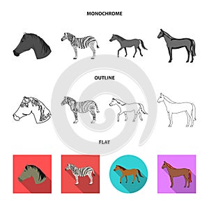 Isolated object of trot and running icon. Set of trot and clipart vector icon for stock.