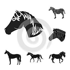 Isolated object of trot and running logo. Collection of trot and clipart stock vector illustration.