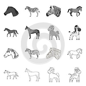 Isolated object of trot and running logo. Collection of trot and clipart vector icon for stock.