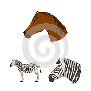 Isolated object of trot and running logo. Set of trot and clipart stock vector illustration.