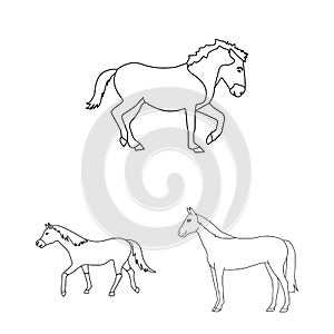 Isolated object of trot and running logo. Set of trot and clipart stock vector illustration.