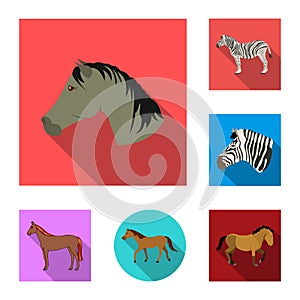 Isolated object of trot and running logo. Set of trot and clipart vector icon for stock.