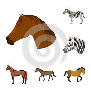 Isolated object of trot and running sign. Collection of trot and clipart stock symbol for web.