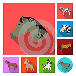 Isolated object of trot and running sign. Collection of trot and clipart stock symbol for web.