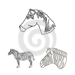 Isolated object of trot and running sign. Set of trot and clipart stock vector illustration.