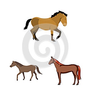 Isolated object of trot and running sign. Set of trot and clipart stock vector illustration.