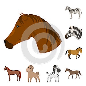 Isolated object of trot and running symbol. Collection of trot and clipart stock symbol for web.