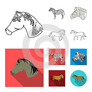 Isolated object of trot and running symbol. Collection of trot and clipart stock symbol for web.