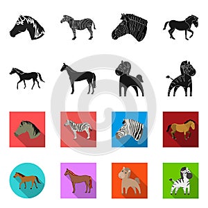 Isolated object of trot and running symbol. Collection of trot and clipart vector icon for stock.