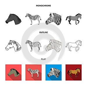 Isolated object of trot and running symbol. Collection of trot and clipart vector icon for stock.