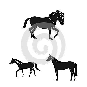 Isolated object of trot and running symbol. Set of trot and clipart stock vector illustration.