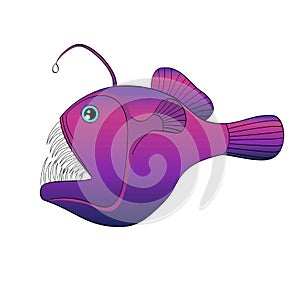 Isolated object on white background deep sea, water fish, Lophius piscatorius. Evil predator