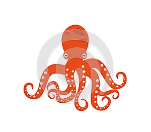 Isolated octopus on white