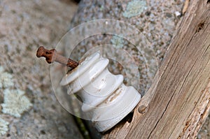 Isolated old white glass insulator on a cedar fence post