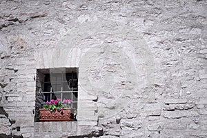 Isolated old window with gratings and a vase of violet flowers