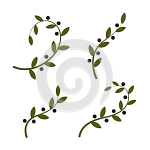 Isolated olive branch vector logo set. Oil logotypes collection. Peace day.