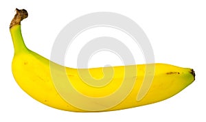 Isolated Organic Banana