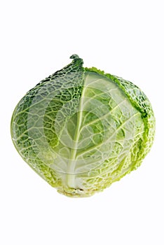 Isolated organic head of savoy cabbage