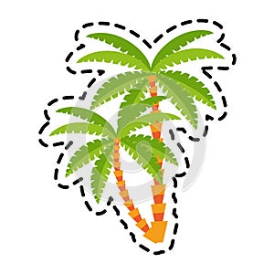 Isolated palm tree design