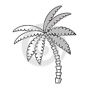 Isolated palm tree design