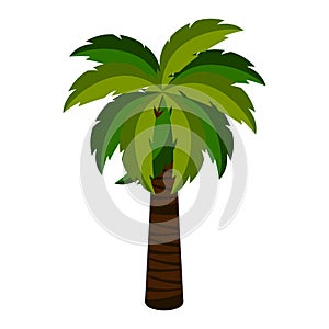 Isolated palm tree icon
