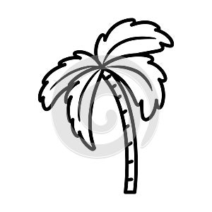 Isolated palm tree icon