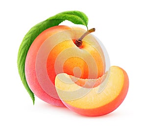 Isolated peach or apricot photo