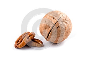 Isolated peeled pecan nuts and walnut
