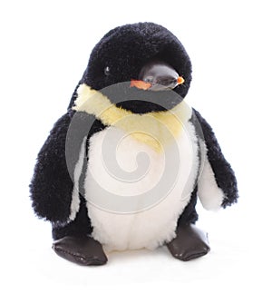 Isolated Penguin Stuffed Animal