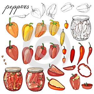 Isolated peppers. Various color, food made of paprika and chilli